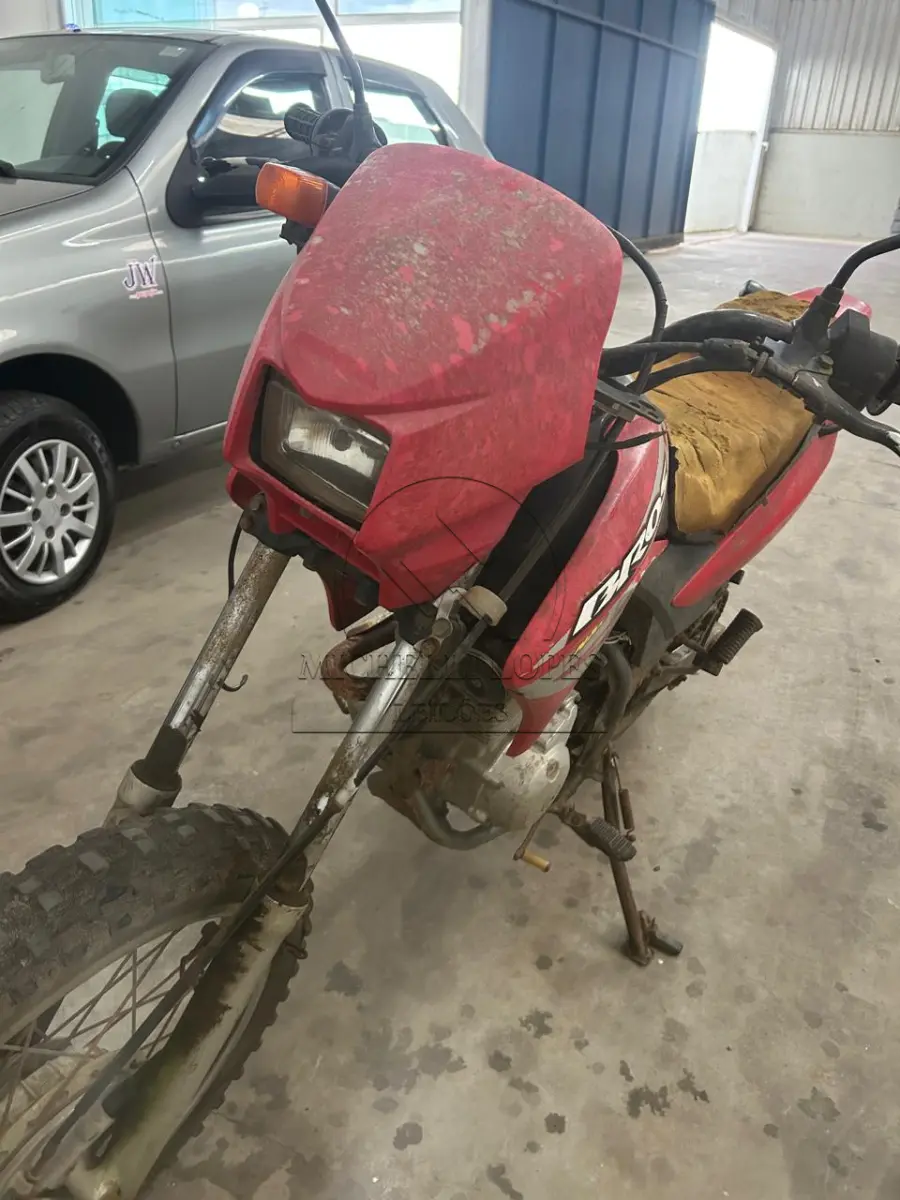 LOTE 000