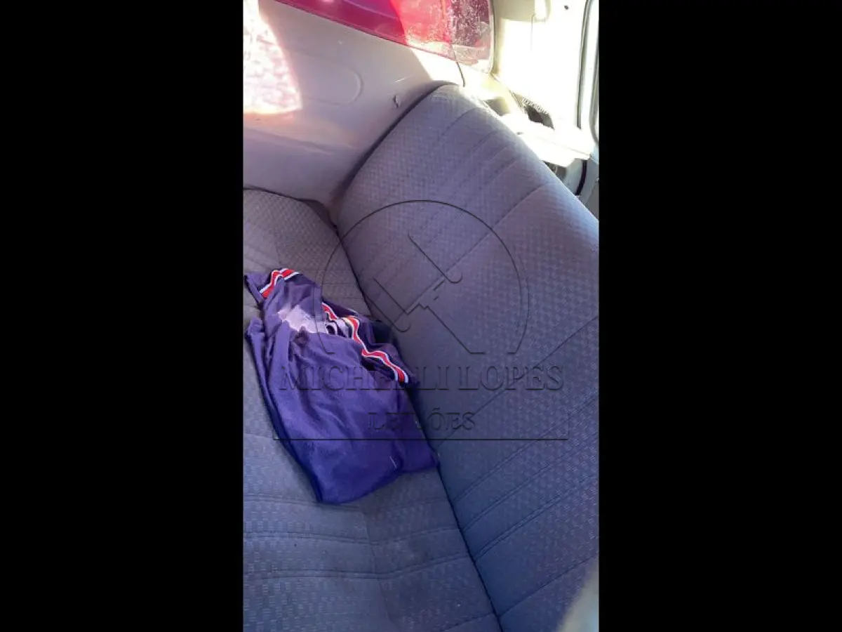 LOTE 0029
