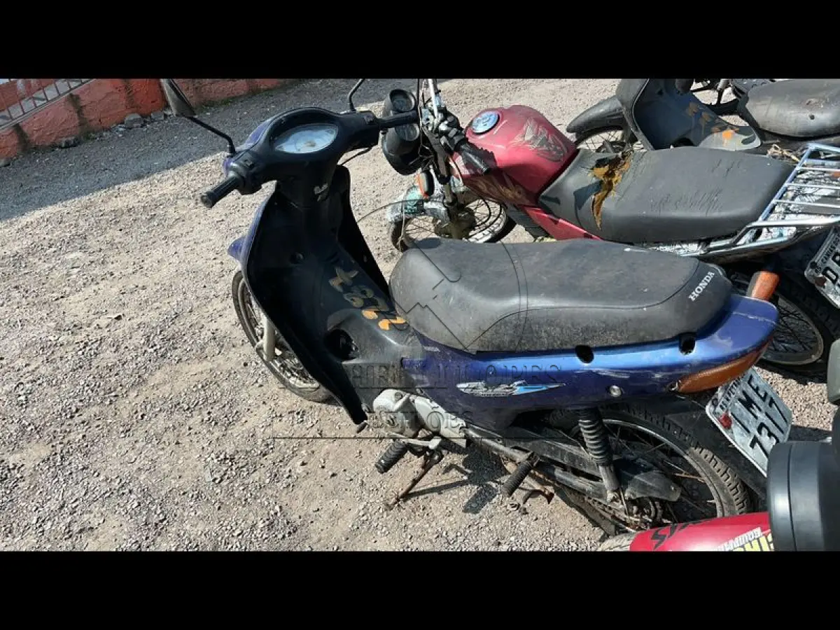LOTE 0147