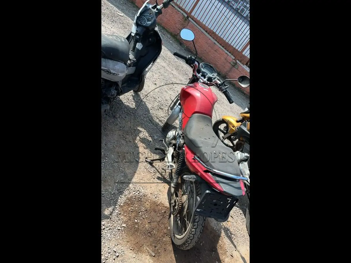LOTE 0166