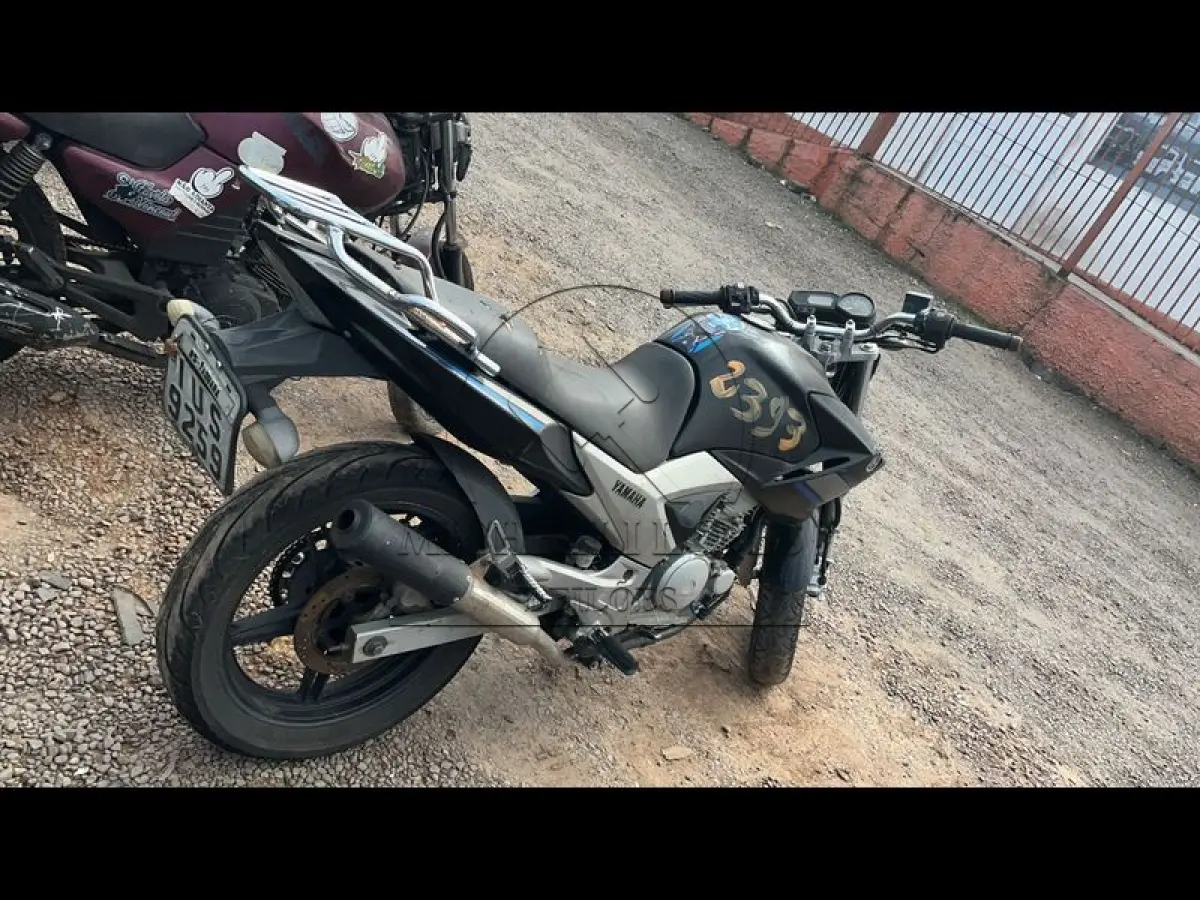 LOTE 0163