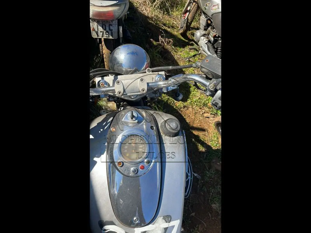 LOTE 0006