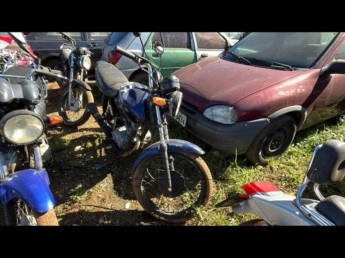 LOTE 0010