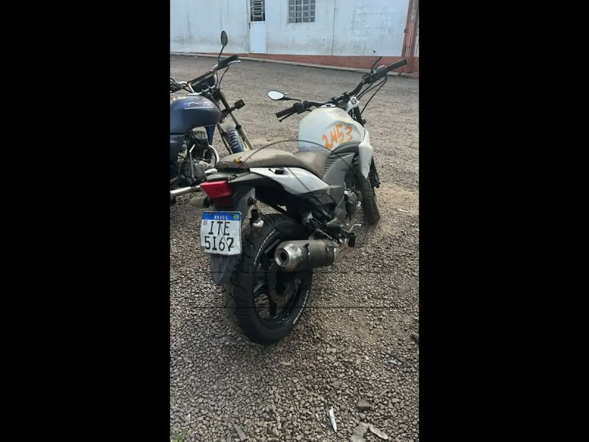 LOTE 0172