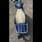 Foto 8